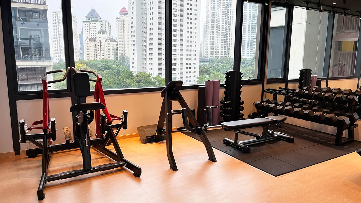 アイソラテラル ローイング・T-Barローイング・フリーウェイトの機材